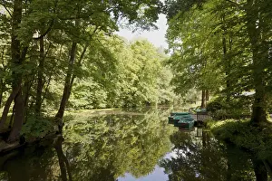 WaterReflections