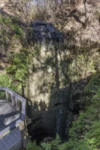 Waters of the highest waterfall in Florida fall into a deep sinkhole at Falling Waters State Park in Chipley