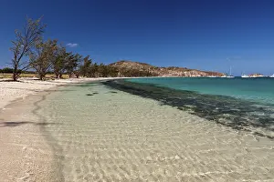Watsons Bay Lizard Island, Great Barrier Reef