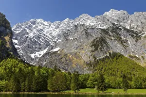 Watzmann group at Koenigssee, mixed forest