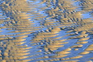 Wave-like structures, ripples in the sand at low tide
