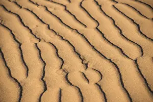 Wave pattern in the sand, Sossusvlei