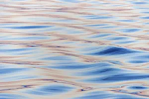 Waves in the evening light, sea