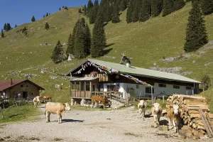 On the way to the Fockenstein between Tegernsee