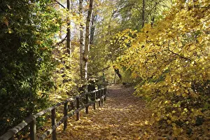 Way to the Pfalzgarten, grounds of the Kaiserpfalz