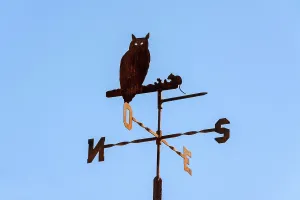 A weathercock displays an owl silhouette