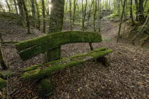 Weathered, rotten and mossy bench made of rough wooden planks