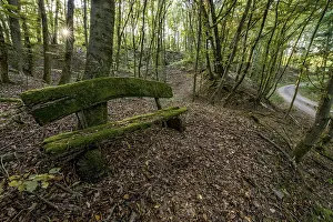 Weathered, rotten and mossy bench made of rough wooden planks