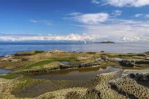Weathered sandstone rock formations called tafoni on the shore of Gabriola Island