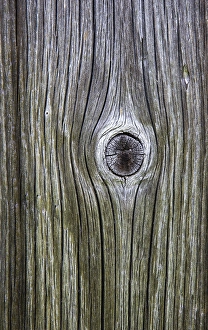 Category Mountain Landscapes Prints: Weathered wood with knothole at a mountain hut