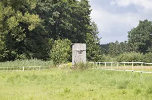 Weathered wooden hunting blind stands in a vibrant green field