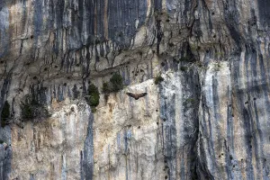 Weathering in the steep cliffs of the Verdon Gorge at the Belvedere de Trescaire bas