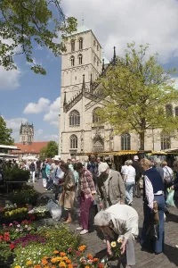 Weekly market on the cathedral square in front of the Paulusdom cathedral
