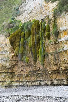 The weeping rock, la Roche qui Pleure