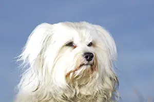 Well-lit and neatly combed