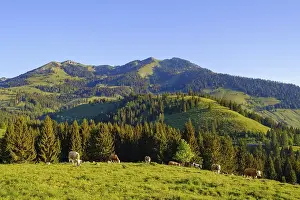 Wendelstein and Wildalpjoch, Sudelfeld