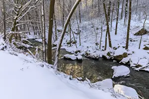 Wesenitz in the Wesenitz Valley in Duerrroehrsdorf-Dittersbach