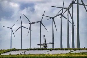 Westereems and Growind wind farms