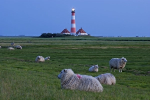 Westerhever lighthouse in the evening