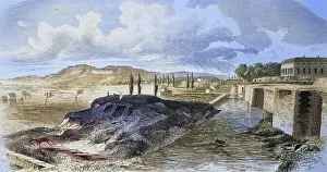 The western surroundings of Metz