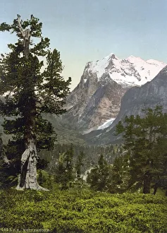 Wetterhorn, general view, Bernese Oberland