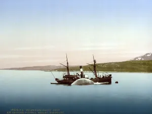 Whaling scenes on Skaaro. The Nancy Grey with a whale