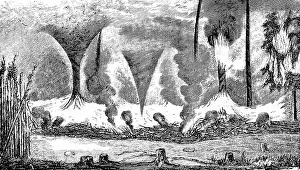 How whirlwinds arise over burning cane bushes