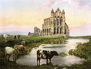 Whitby Abbey, Whitby Abbey, a former monastery in Whitby