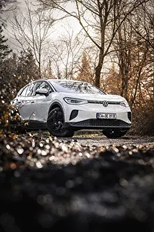 White car in autumn forest with warm light and bare trees