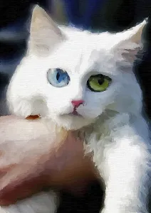 Framed Print : White cat on mother hands backgroun digital art painted image