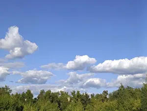 White clouds floating in blue sky over forest