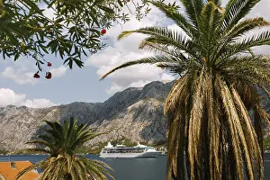 White cruise liner against the backdrop of rocky mountains