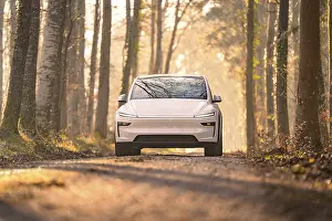 White electric car driving on a tree-lined forest path in soft sunlight