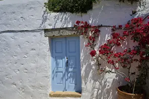 White house with blue door, red flower tendril