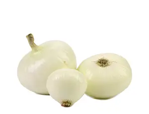 White onion isolated on a white background