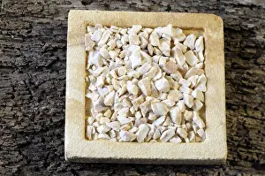White peony root (Paeoniae Radix Alba)