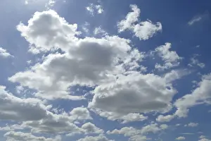 White spring clouds, backlighting