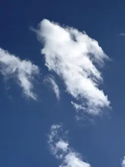 White torn frayed cloud Cumulus fractus cloud image like mythical creature with angel wings