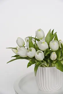 White tulips in vase on round table, copy space