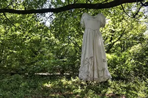 White wedding dress, wedding gown