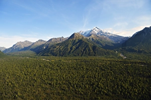 Category Mountain Landscapes Prints: Wide forested valley with mountain peaks