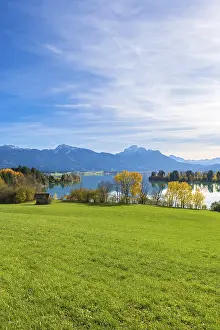 Wide landscape with green meadow