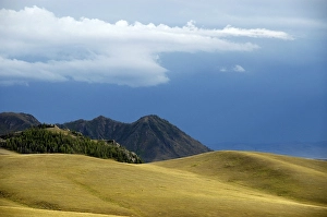 Category Mountain Landscapes Prints: Wide open landscape with grassland forest and a mountain Terelj National Park Mongolia