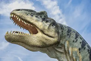 The wide-open mouth with sharp teeth of a replica of a predatory dinosaur