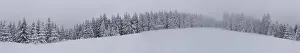 Wide panorama of a dense snow-covered coniferous forest in a foggy winter backdrop