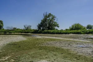 Wide riverbank with lush vegetation and scattered trees