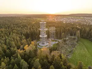 Wide view of the forest with tower and adjacent village in the evening light
