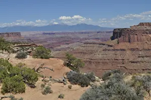 Wide view of red canyons with scattered vegetation