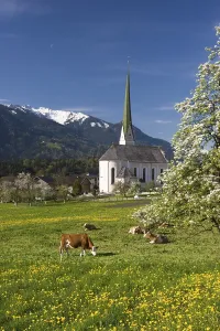 Wiesing near Jenbach Tyrol Austria
