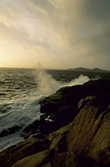 Wild coast